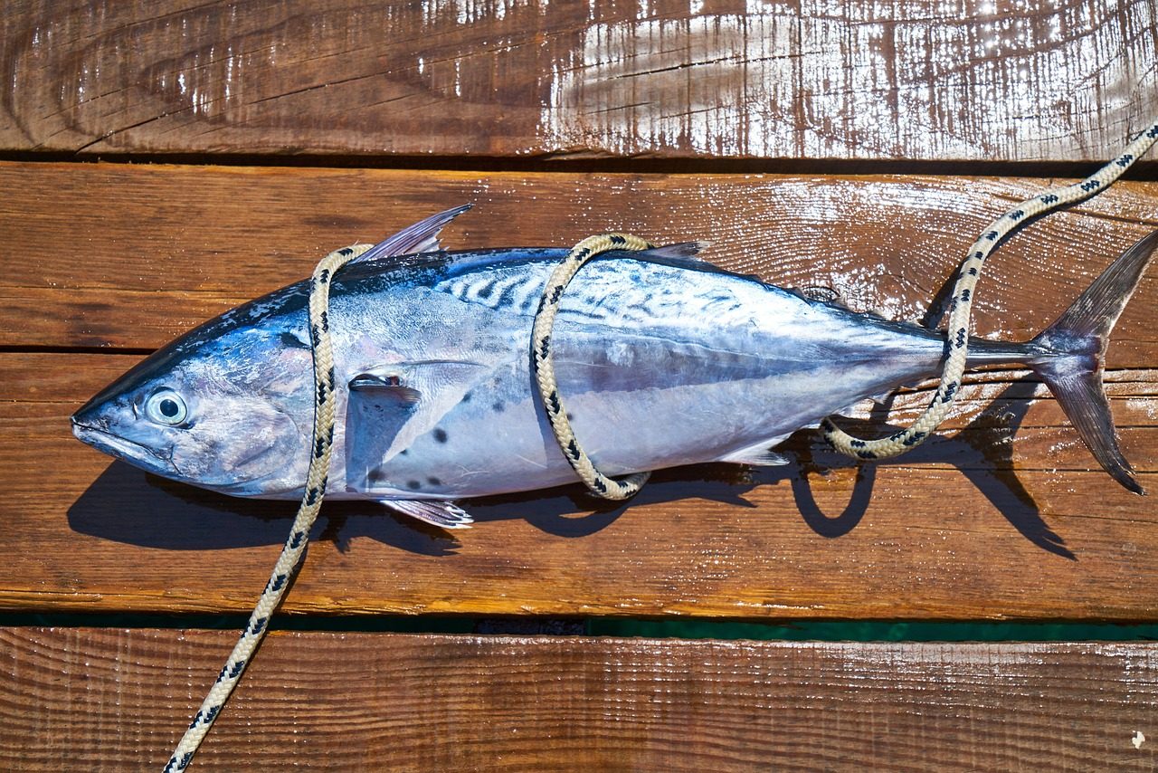 Čerstvé ovocie a zelenina na stole symbolizujúce zdravú výživu
